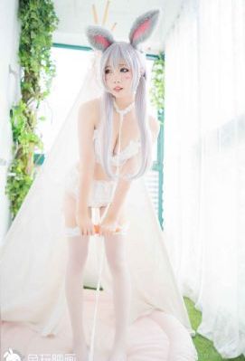 岁岁青莲电视剧免费观看全集