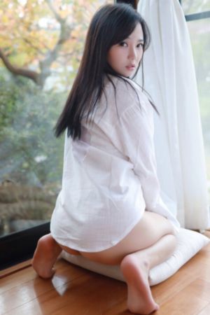 潜入搜查官